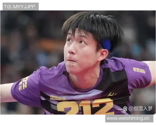 乒乓球状态排行榜揭晓上海乒乓球队荣获第二名佳绩