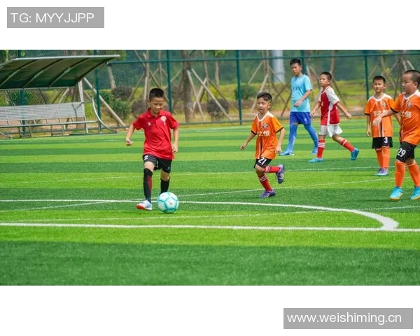 足球明星训练日常揭秘:他们如何在球场上磨练技艺与团队默契