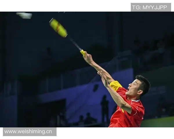 深圳羽毛球队奋勇拼搏夺冠之路全景回顾与精彩瞬间分享