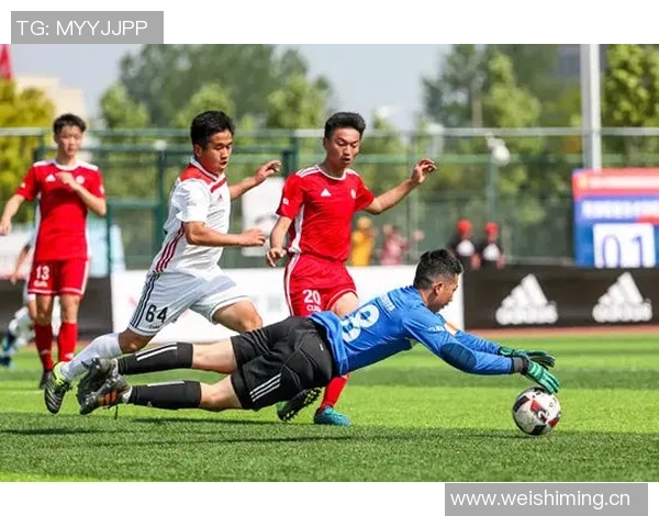 足球明星转会动态全解析最新转场模板素材分享与分析