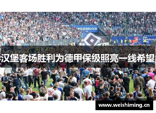 汉堡客场胜利为德甲保级照亮一线希望