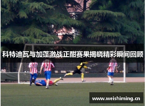 科特迪瓦与加蓬激战正酣赛果揭晓精彩瞬间回顾