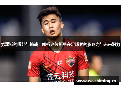 努涅斯的崛起与挑战：解析这位新星在足球界的影响力与未来潜力
