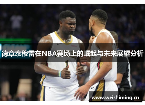 德章泰穆雷在NBA赛场上的崛起与未来展望分析